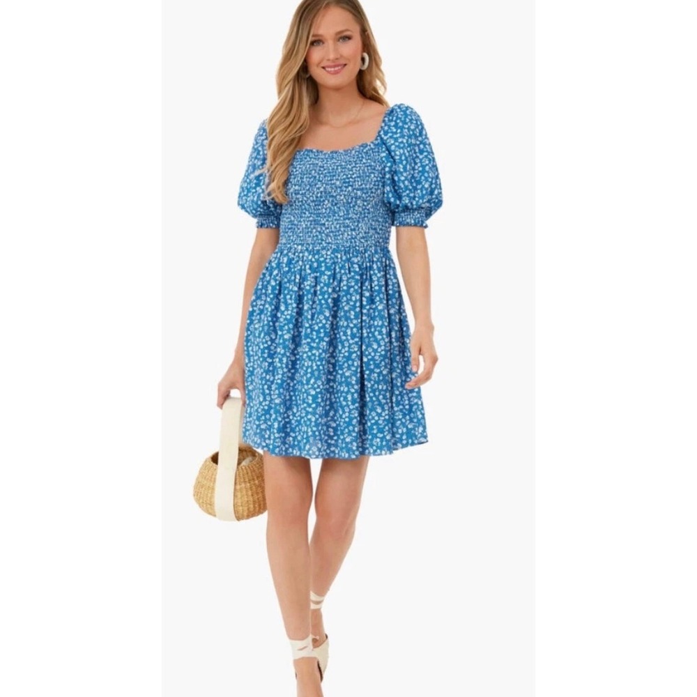 Hyacinth House Blue Ditsy Floral Mini Dress Smocked Puff Sleeve sz L